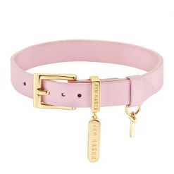 Ted Baker BRIELLI Sparkle Bar Leather Bracelet for Bracelets & Bangles Colour Gold/Pink/Cryst